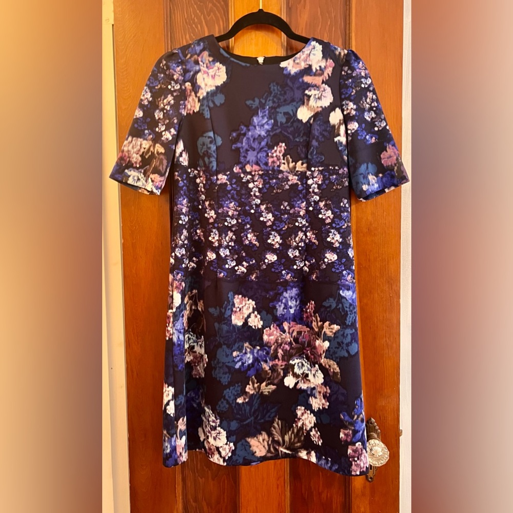 Betsy Johnson Dress Size 4